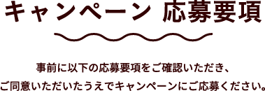 キャンペーン応募要項 事前に以下の応募要項をご確認いただき、ご同意いただいたうえでキャンペーンにご応募ください。